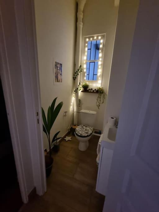 Charmant 70 M2 Coeur De Lejlighed Nice