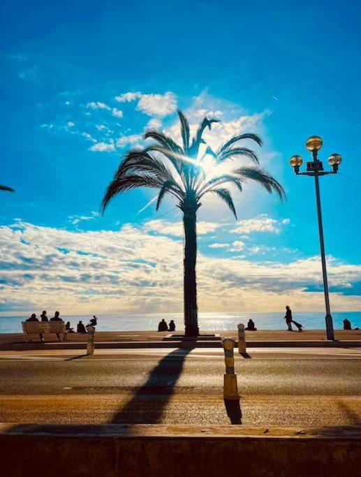 Charmant 70 M2 Coeur De Nice