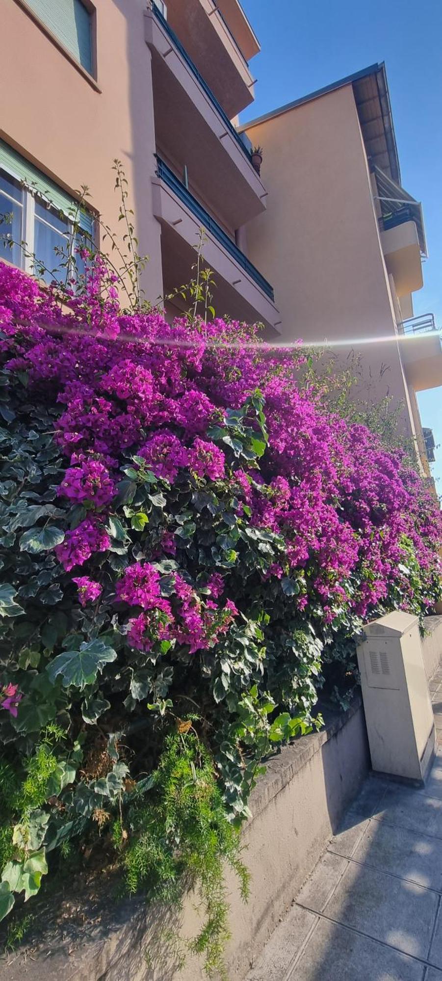 Apartment Charmant 70 M2 Coeur De Nice